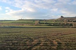 'Vincles, apertas, paraules fermosas entre Cangas i Torrelameu', Escola de Torrelameu i CEIP A Rúa. Cinema en curs 2024-2025