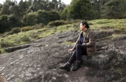 'Un templo sen teito', CEIP A Reigosa (Ponte Caldelas). Cinema en curso 2024-2025