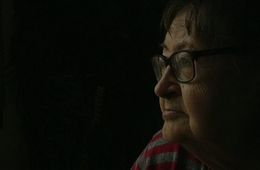 La senyora Maria, Institut de Tona, Cinema en curs 2014-2015