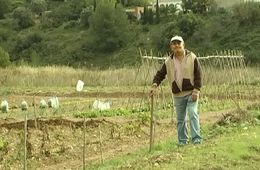 L’hort de l’Isidre, Escola Riera de Ribes, Cinema en curs 2014-2015