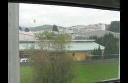 o_ceo_gris_a_traves_dunha_venta