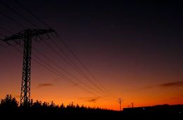 neus_colome_pla_del_mon