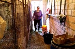 retrato_da_mina_avoa