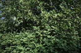 traveling._aina_sanz