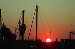 encara_queden_dies_de_sense_sal_-_realitzat_per_alumnes_de_2n_deso_de_linstitut_maria_espinalt._pedrera_artlab_2018