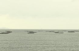 na_marea_ceip_a_rua_cangas_cinema_en_curso_2017-2018