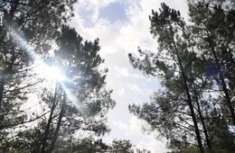 Plano colectivo Paixase 1