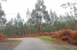 Travelling en Cádabo