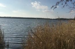 15.02.2019_Schöner Ausblick_Arik_Erik_Anna_2