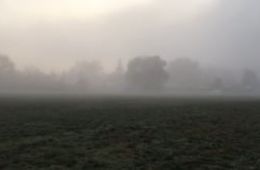 191112_lilly_Menschenskinder