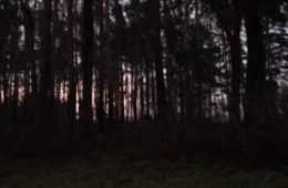 EXPORT_191204 Amy Dominic und Leon