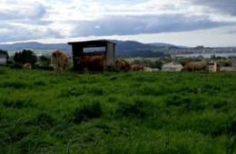 Lourenzá. Fernando Seco, CEIP de San Cosme, maio de 2020