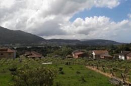 O Rosal. Claudia Santos, CPI Manuel Suárez Marquier, maio de 2020