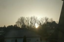 Tagebuch der Orte _ Groß Köris _ 201118_Fensterblick_Magda_Mara_FINAL