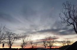 Badalona desembre 2020. Laura, Institut Barres i Ones (Badalona)