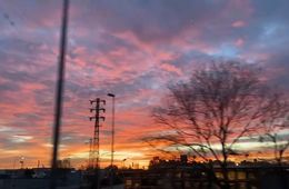 Bellvitge, febrer 2021. Laia Valenzuela, Institut Bellvitge (L'Hospitalet de Llobregat)