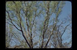 'Ao encontro. Diario de impresións e estacións', CEIP Tenorio (Cotobade)