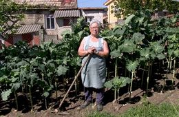 'Rostros de vida', CEIP A Rua (Cangas)