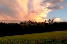 Cerceda,15 de outubro de 2021. Inés, CPI O Cruce