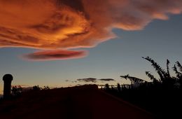 La Pobla de Vallbona, 30 d'octubre de 2021. Jairo Montes, Institut Doctor Puigvert (Barcelona)