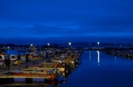 'Mar de baixura', CEIP A Rúa (Cangas), Cinema en curso 2021-2022