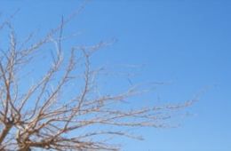 Acollida - Endreca - Joana Raspall, Escola Rafael Alberti