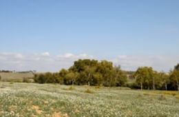 Ripollet, Camp dels militars, 4 d'octubre de 2023, Lena, Eli, Lara, Pol, Bruna i Alfredo, Institut Escola El Martinet