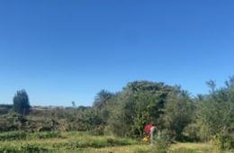 20231110_Ángela_Ana_Iñaki_Noa_Luis_hortes Montcada