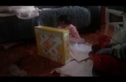 alanis_retrato_de_mi_sobrina